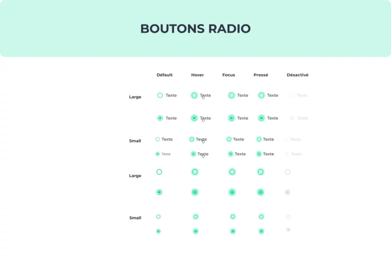 Maquette des boutons radio du design système